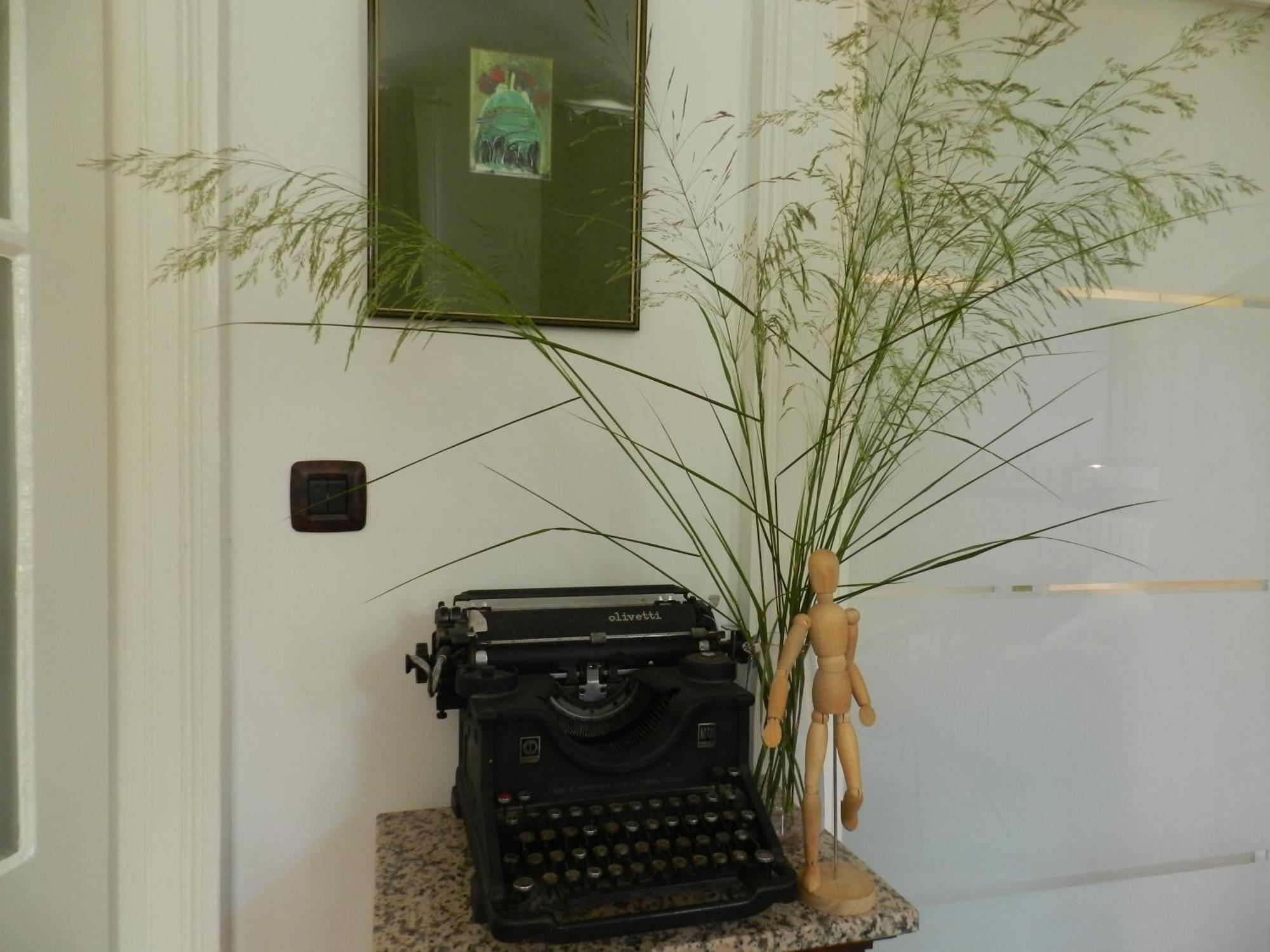 Apartment Markaat Pula